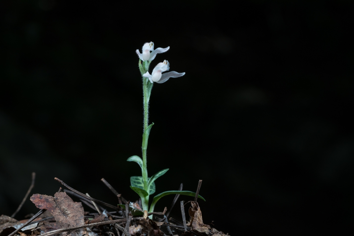 YDY05923.jpg