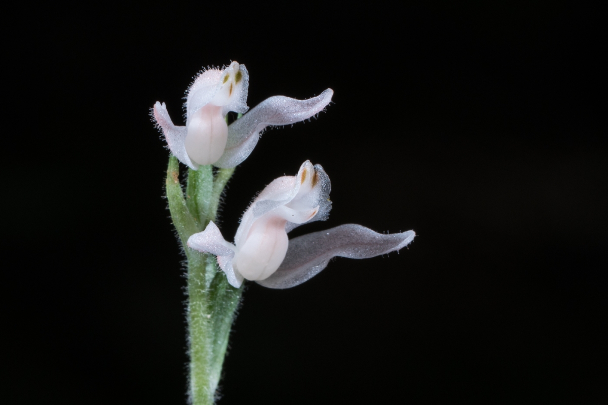 YDY05917.jpg