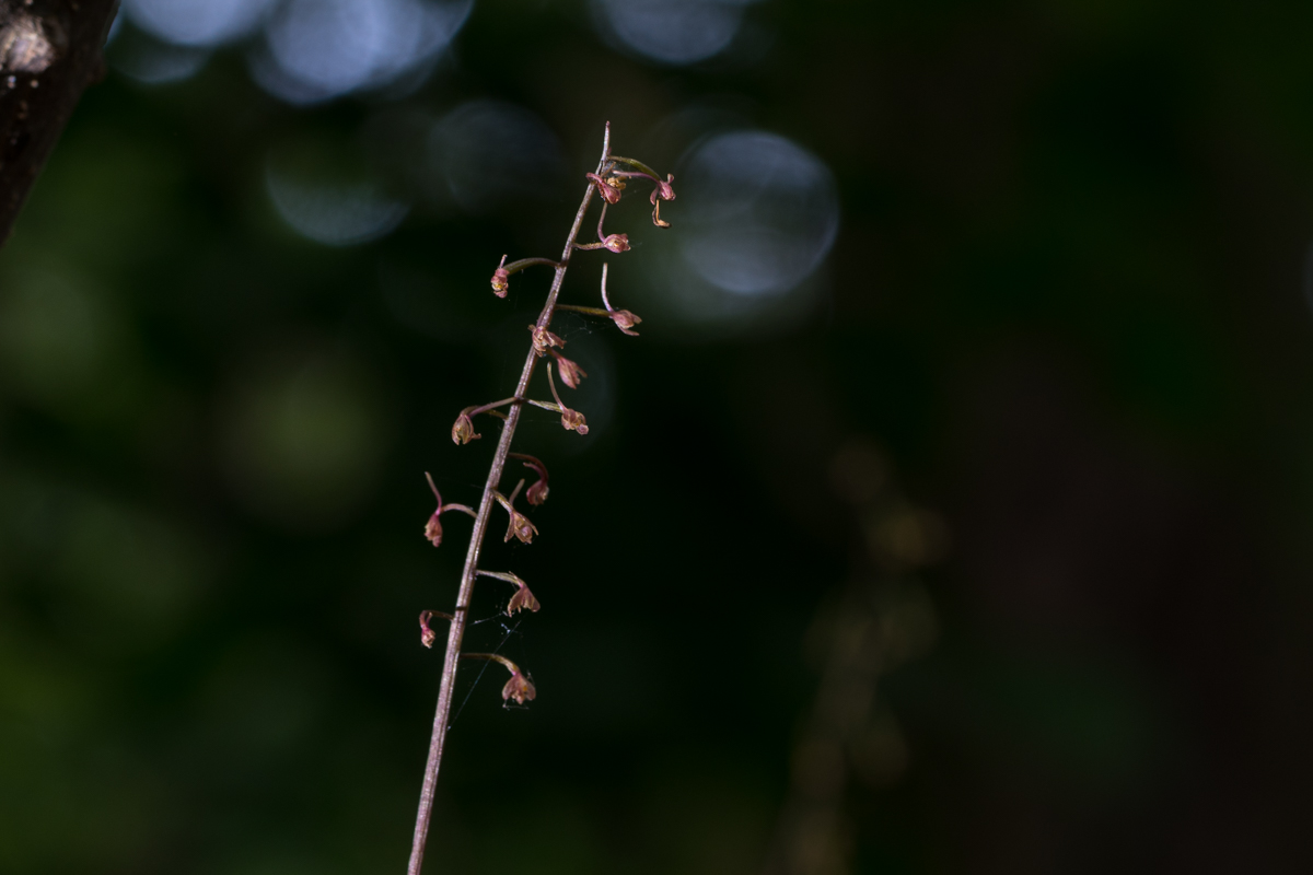 DSC01114.jpg