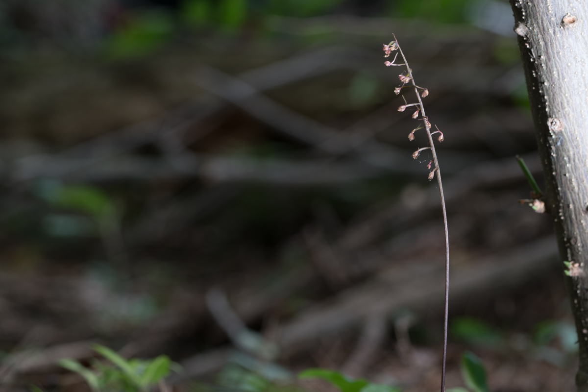 DSC01112.jpg