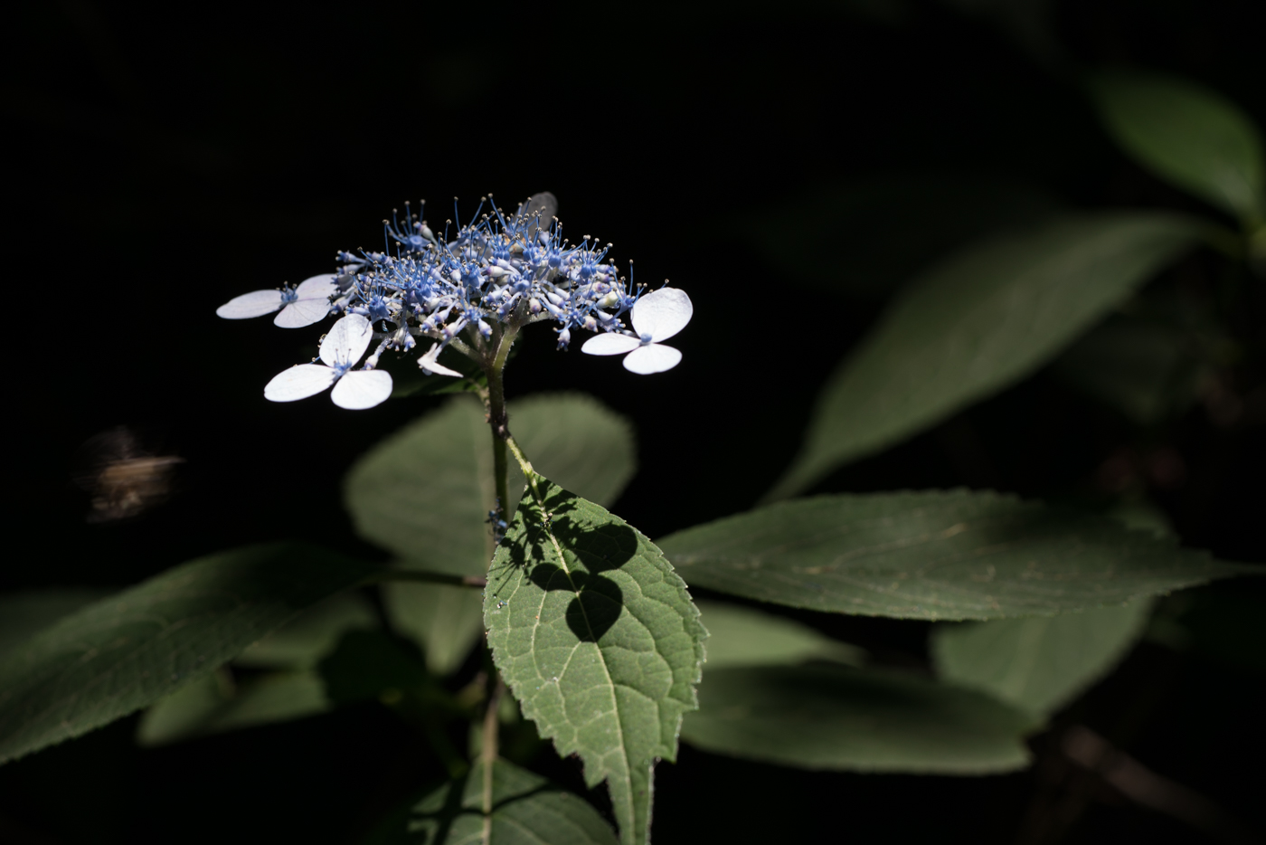 YDY02408.jpg