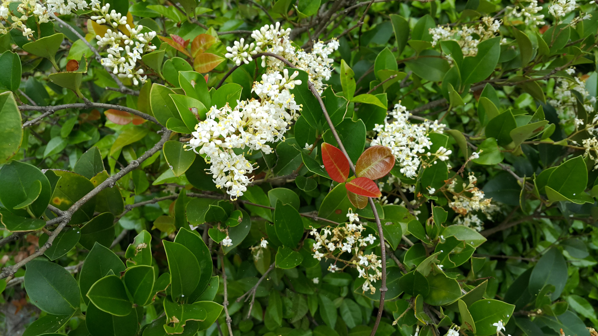 20160606_104913.jpg