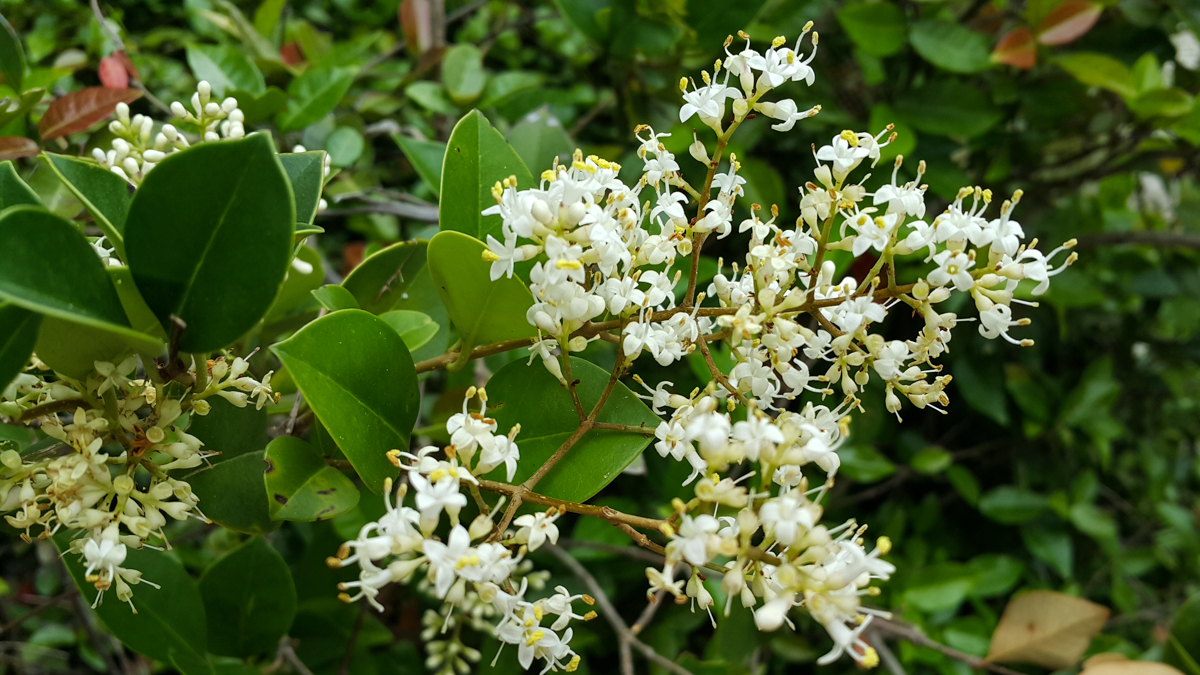 20160606_104924.jpg