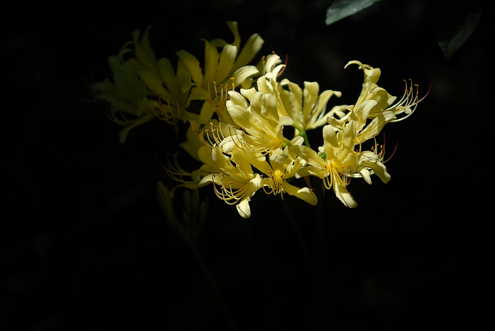 DSC_0504.JPG