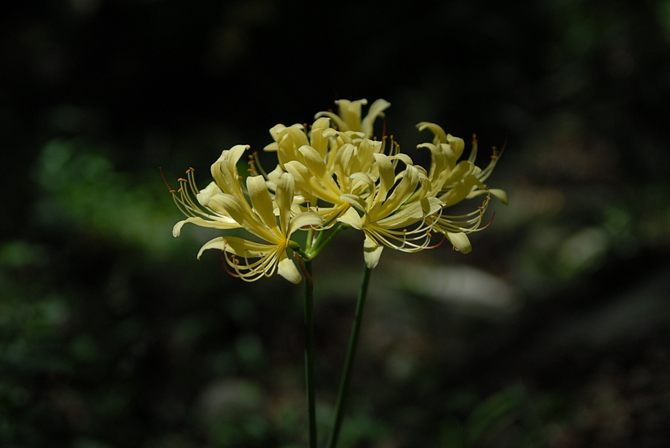 DSC_0187.JPG