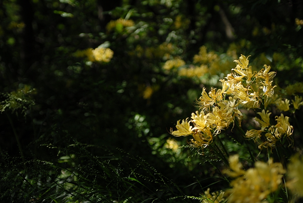 DSC_0483.JPG