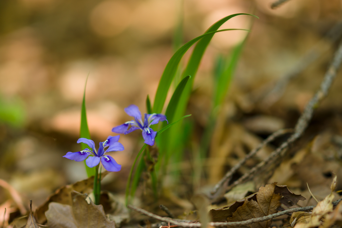 DSC07850.jpg