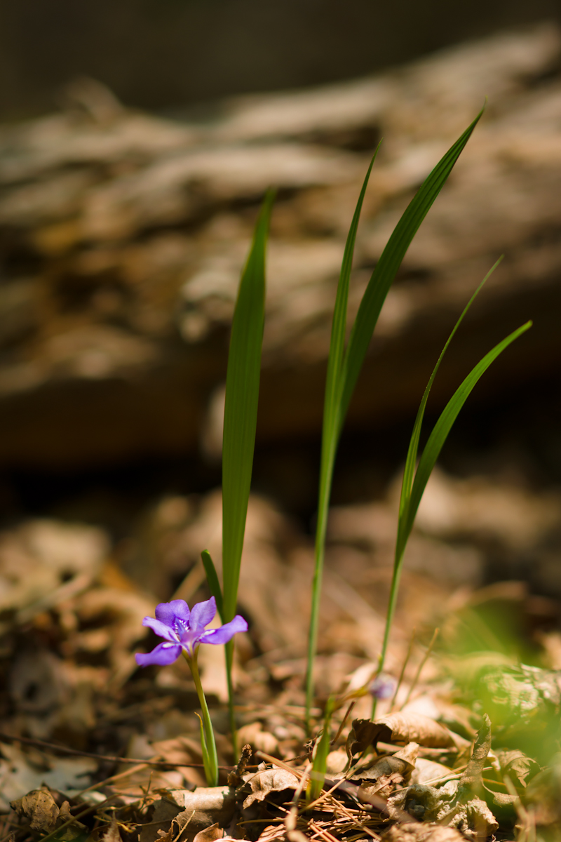 DSC07944.jpg