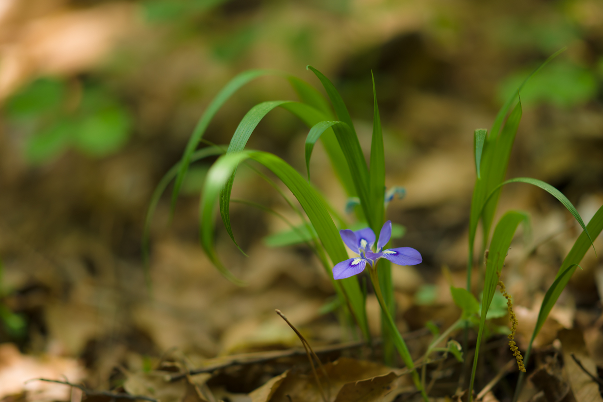 DSC07976.jpg