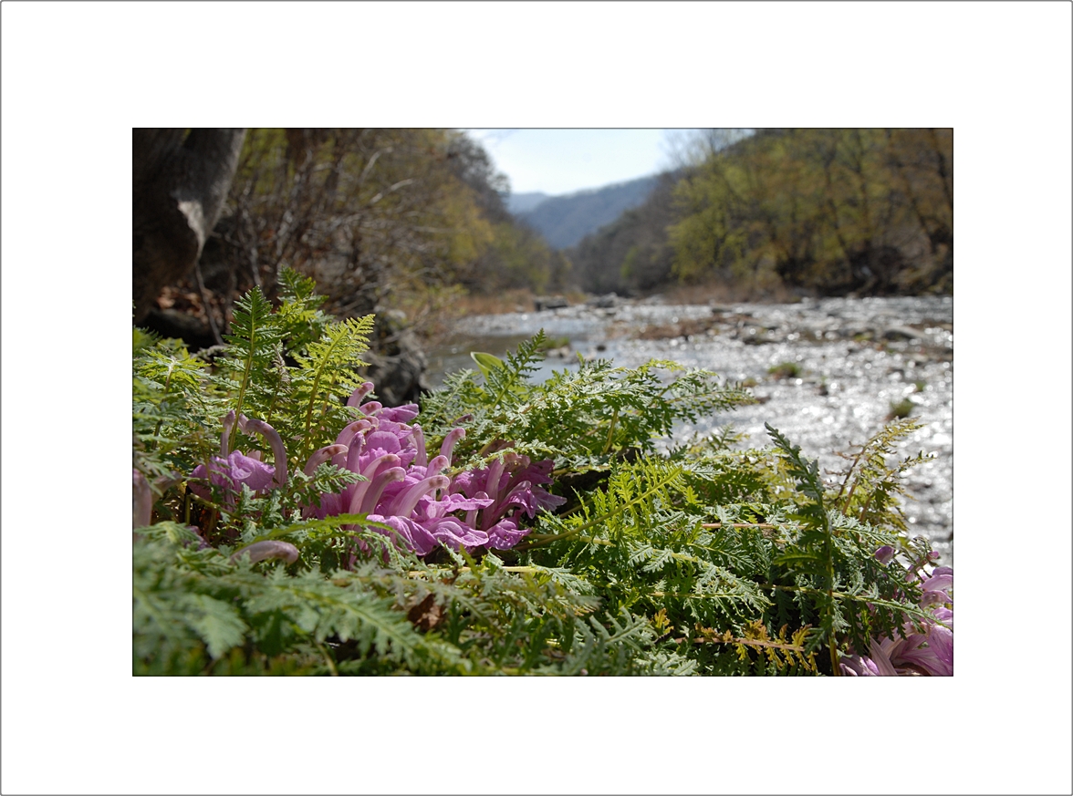 DSC_0152.JPG