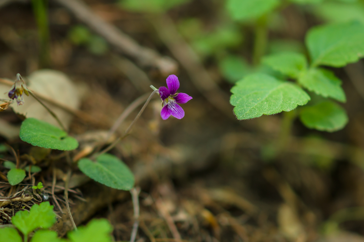 DSC07880.jpg