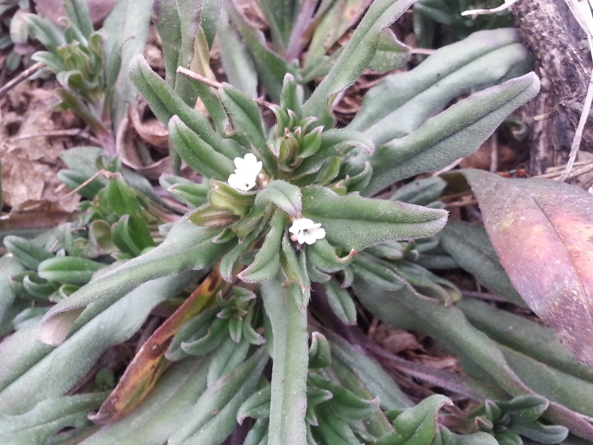 20140226_102312[1].jpg
