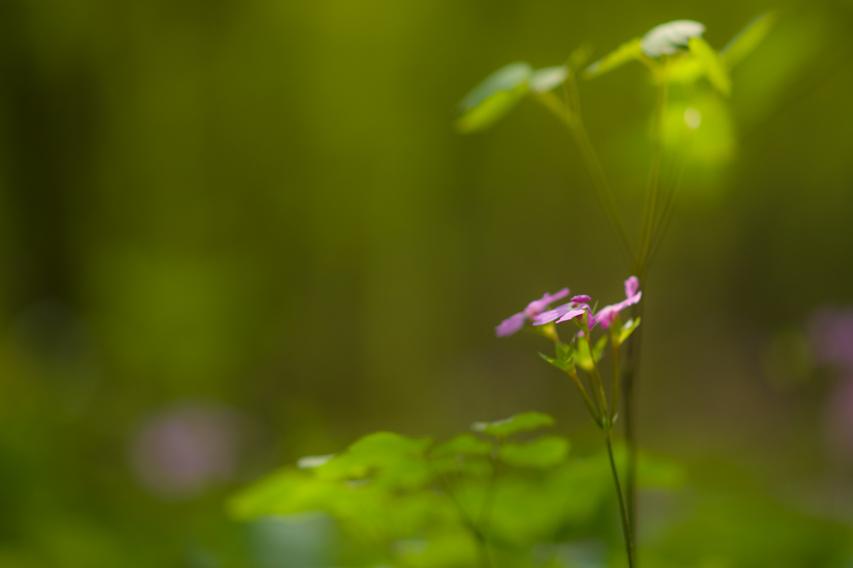 DSC07910.jpg