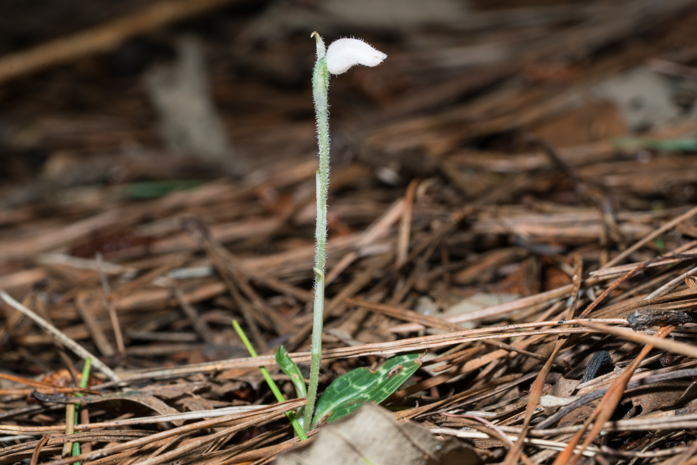 YDY04303.jpg