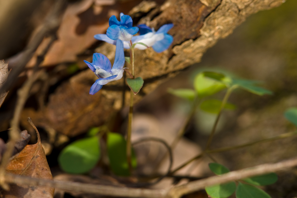 DSC03508-1.jpg