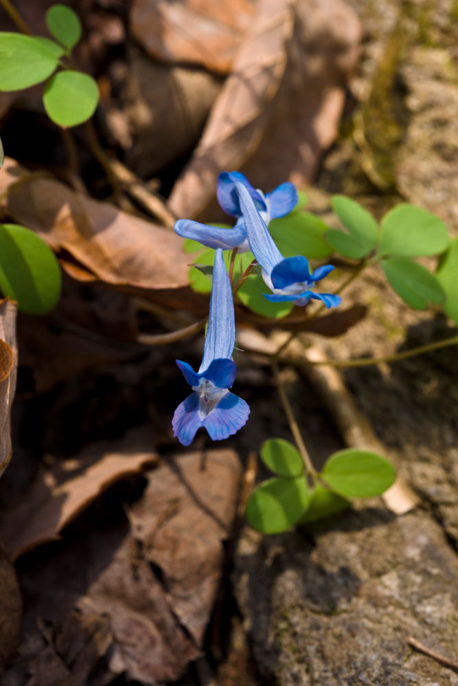 DSC03519-1.jpg