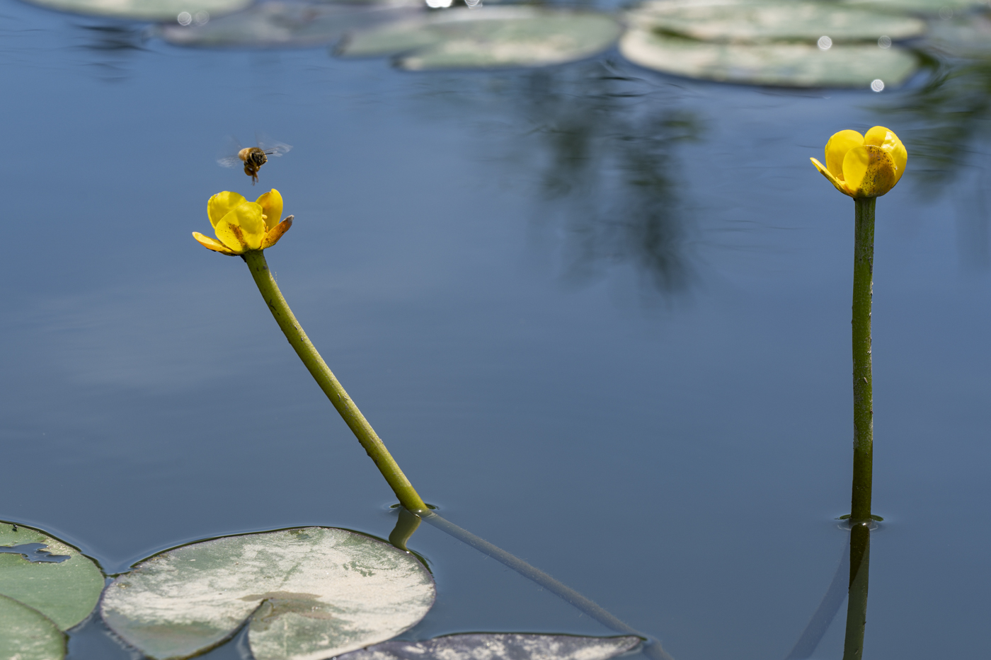 YDY00906.jpg
