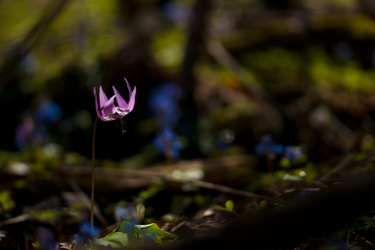 DSC03275.jpg