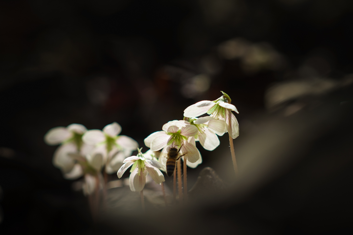 DSC05148.jpg