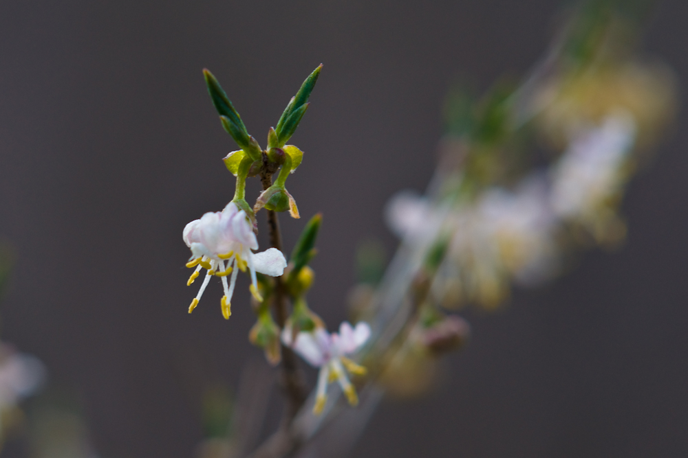 DSC03316-1.jpg