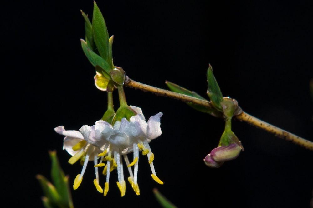 DSC03386-1.jpg