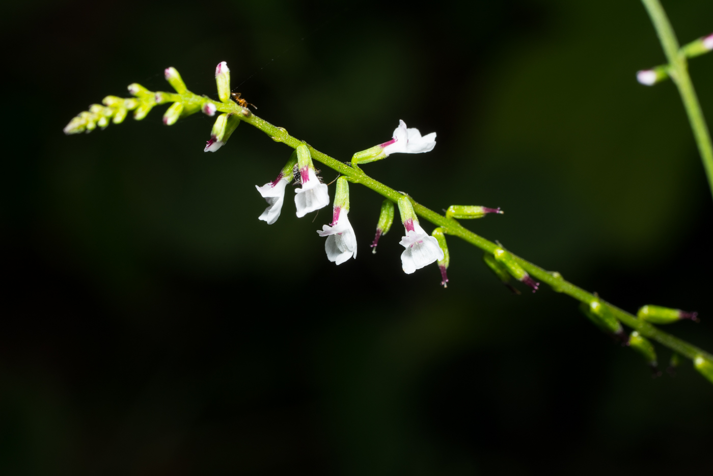 YDY02494.jpg