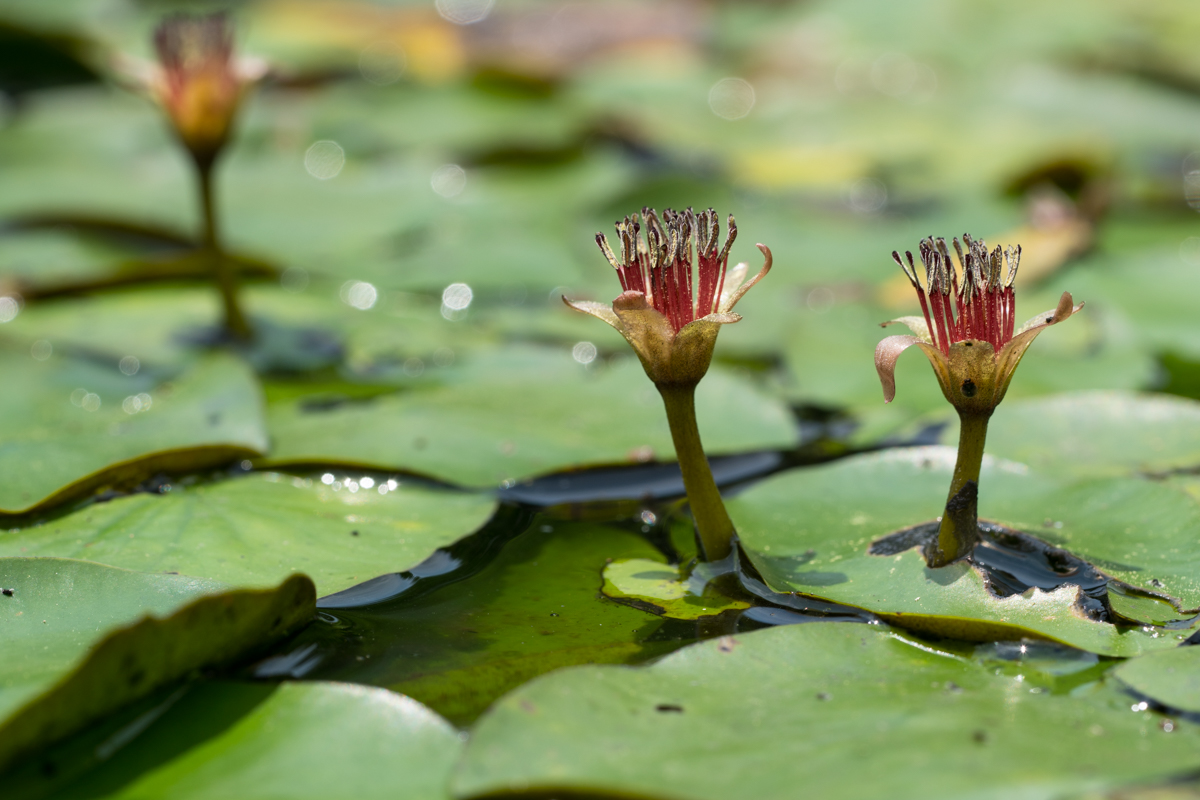 DSC01507.jpg