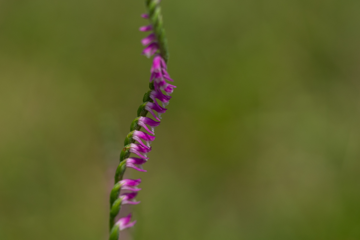 DSC01645.jpg