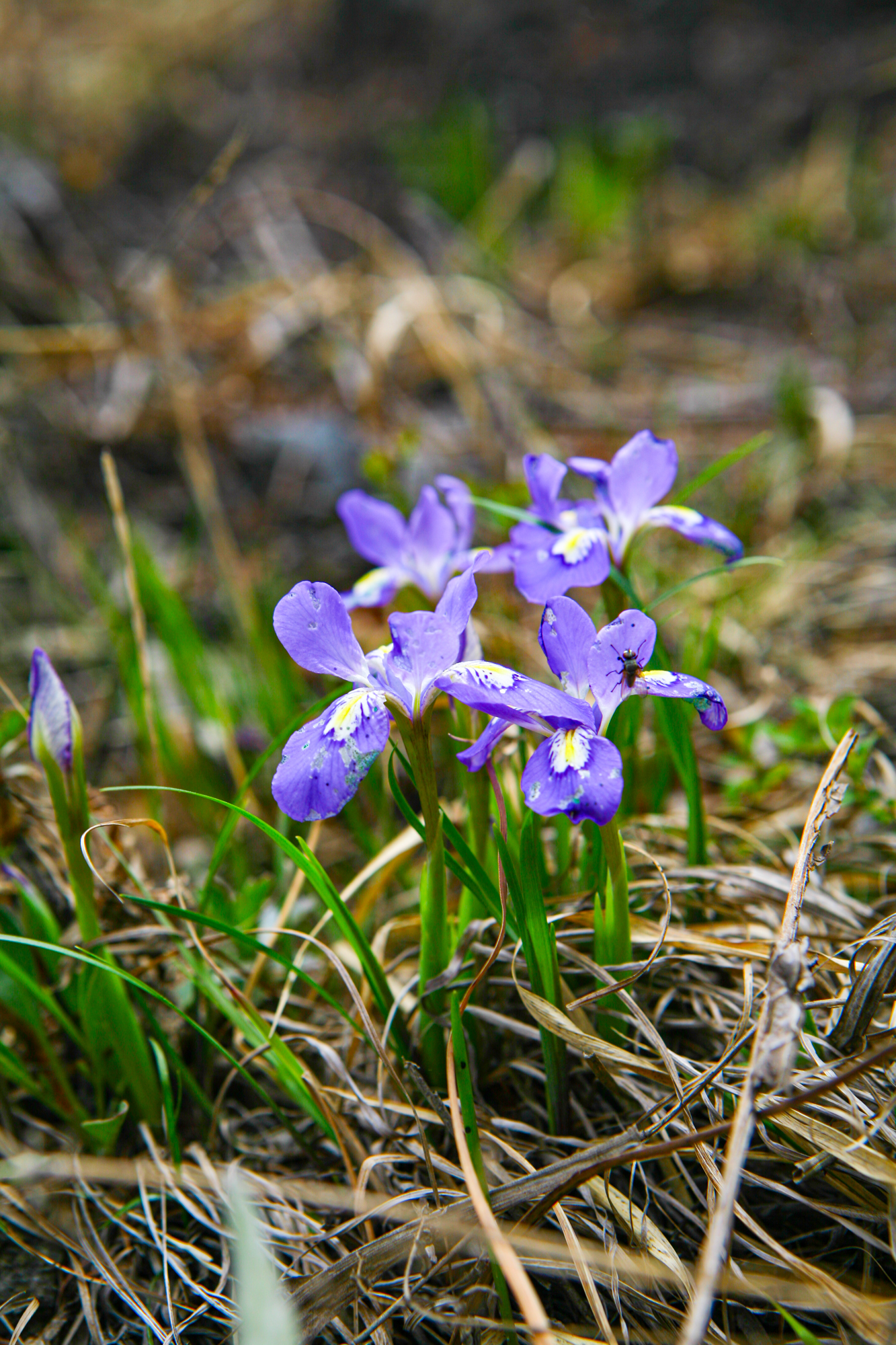 IMG_5640.JPG