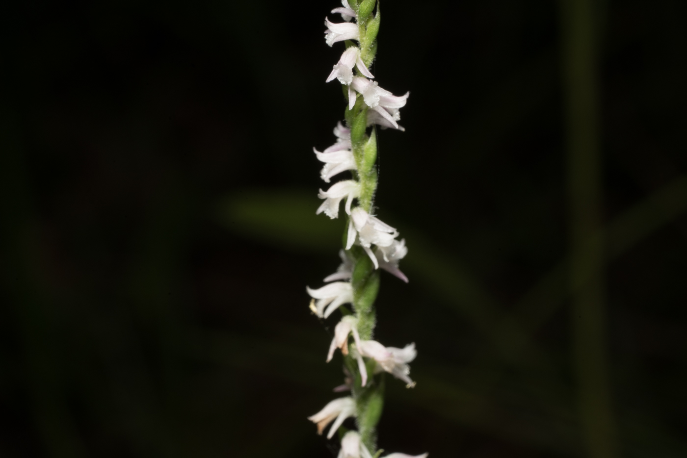 YDY08752.jpg