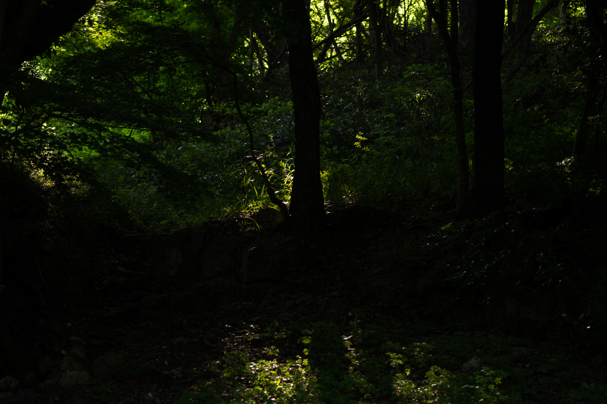 DSC00178.jpg
