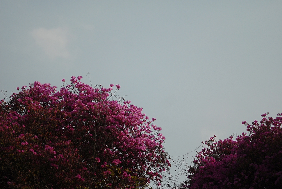 DSC_0552.JPG