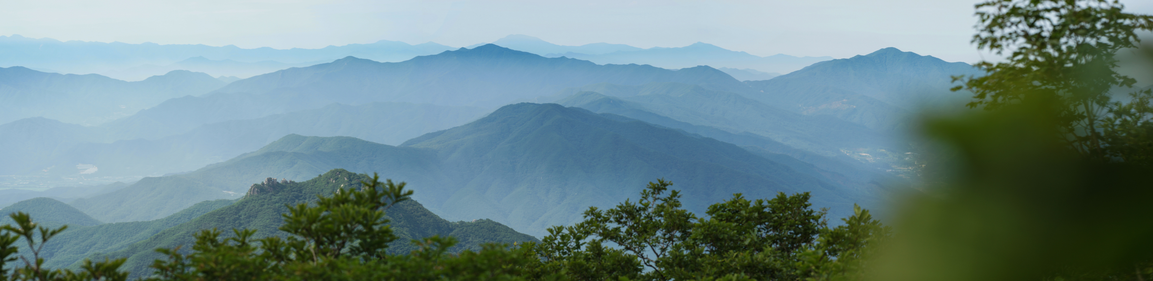 DSC01340_stitch.JPG
