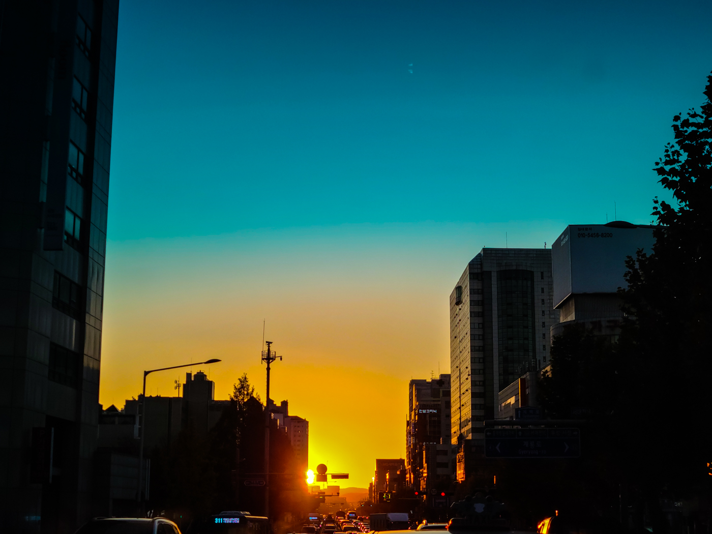 20201104_171929.jpg