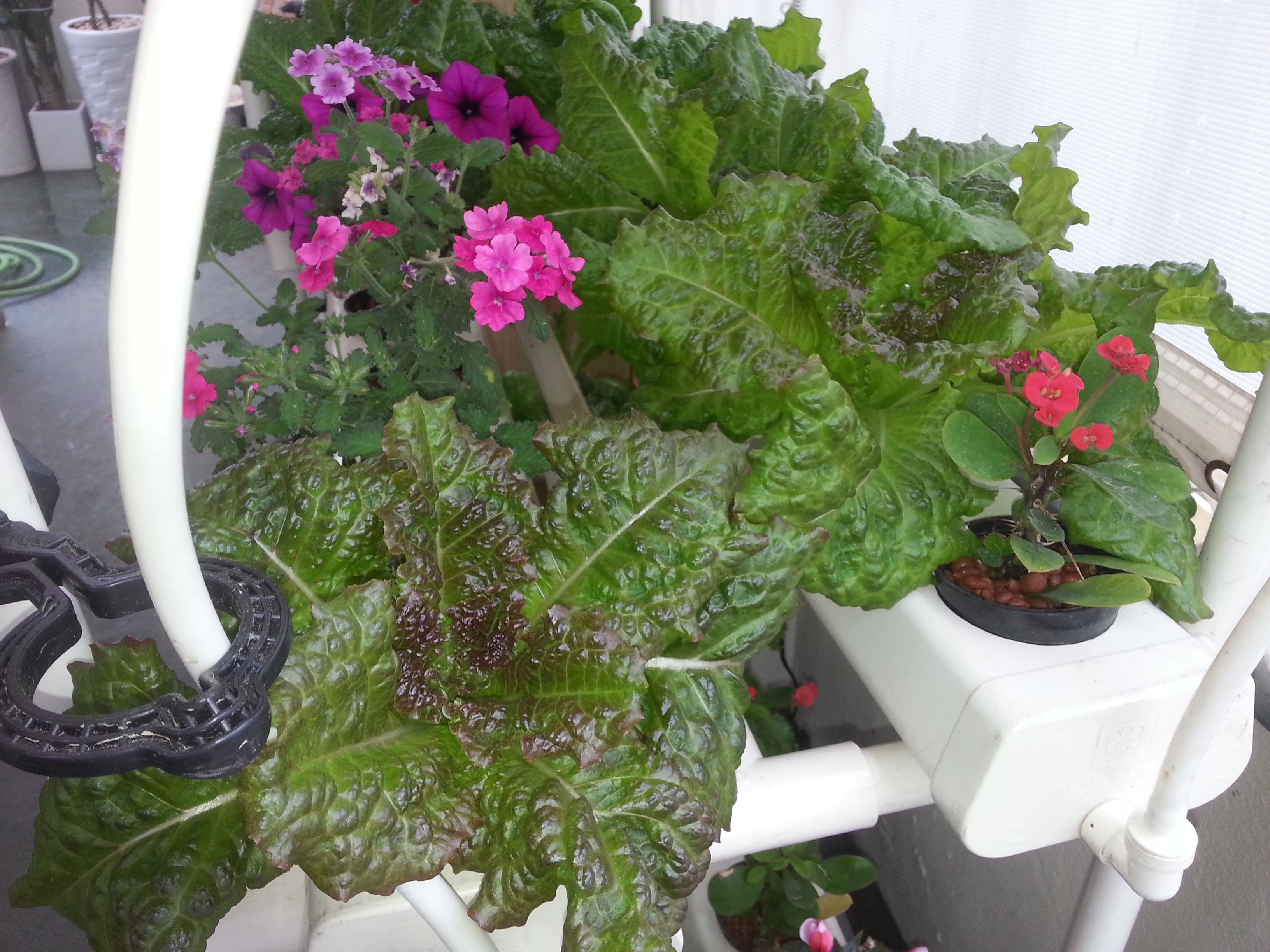 20140525_164725.jpg