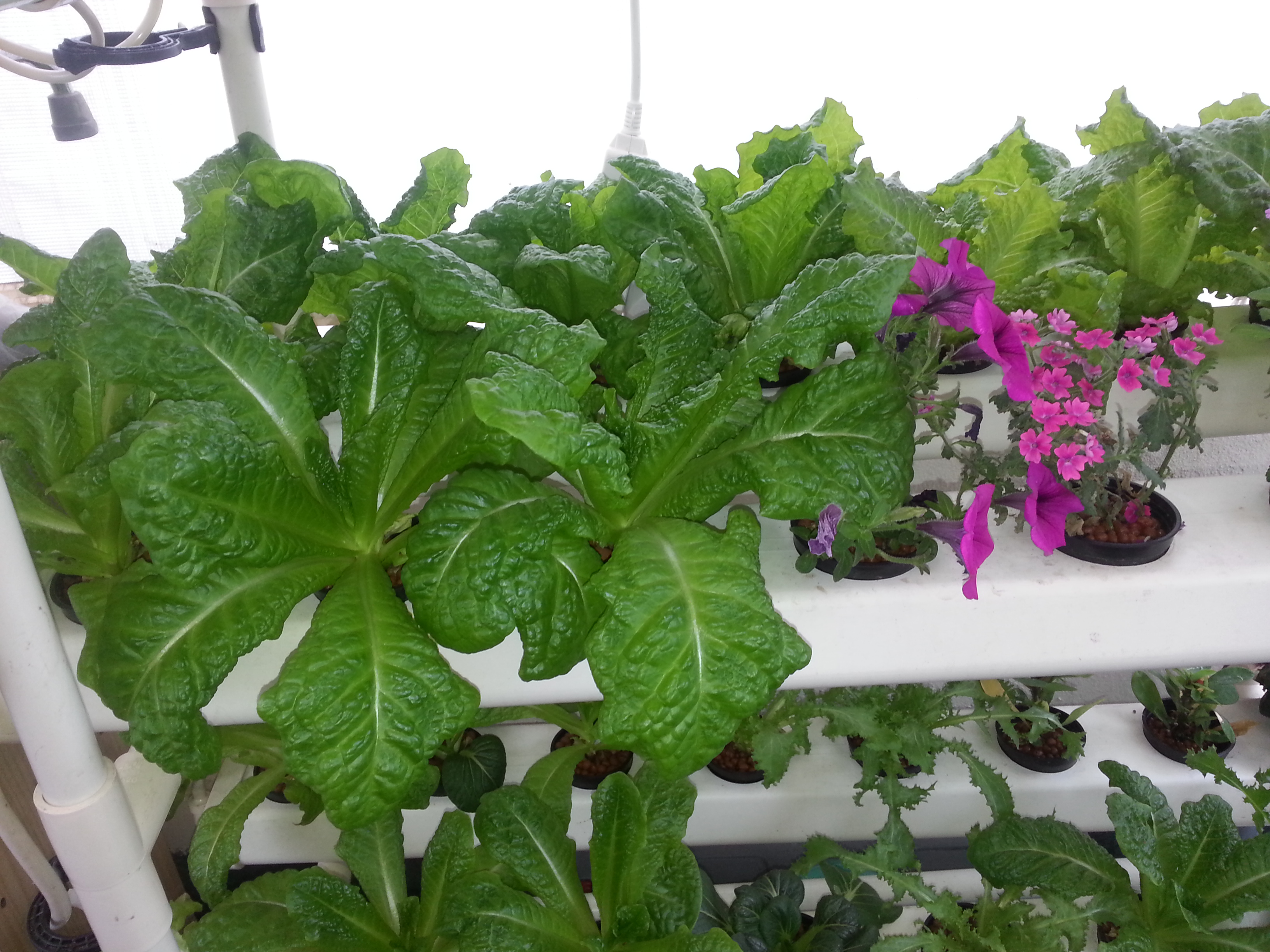 20140525_164635.jpg