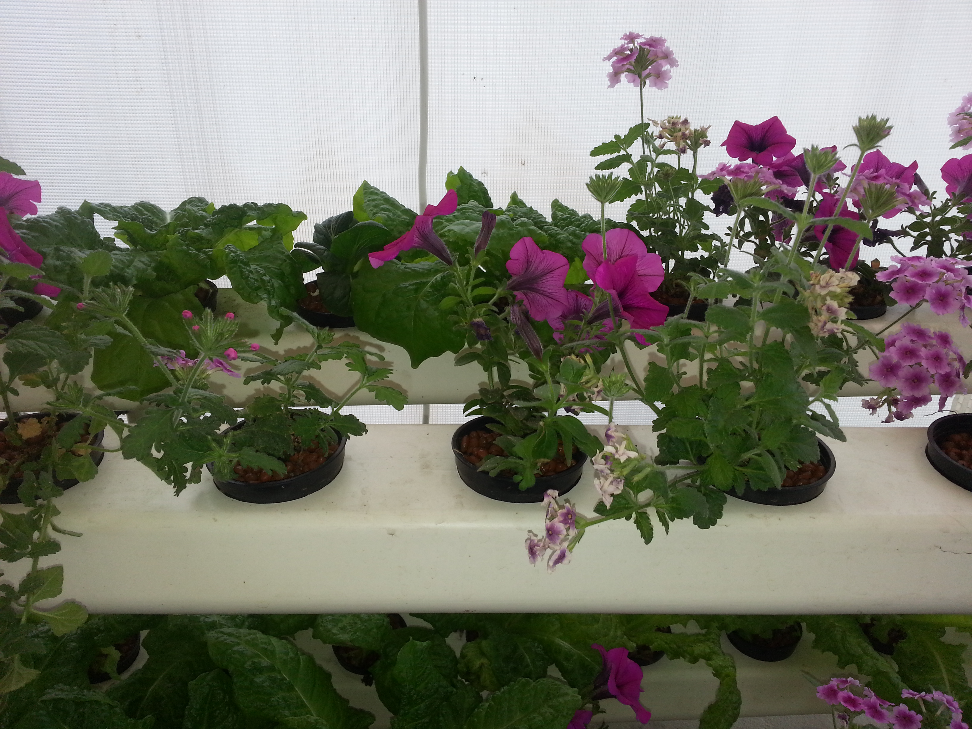 20140525_164639.jpg