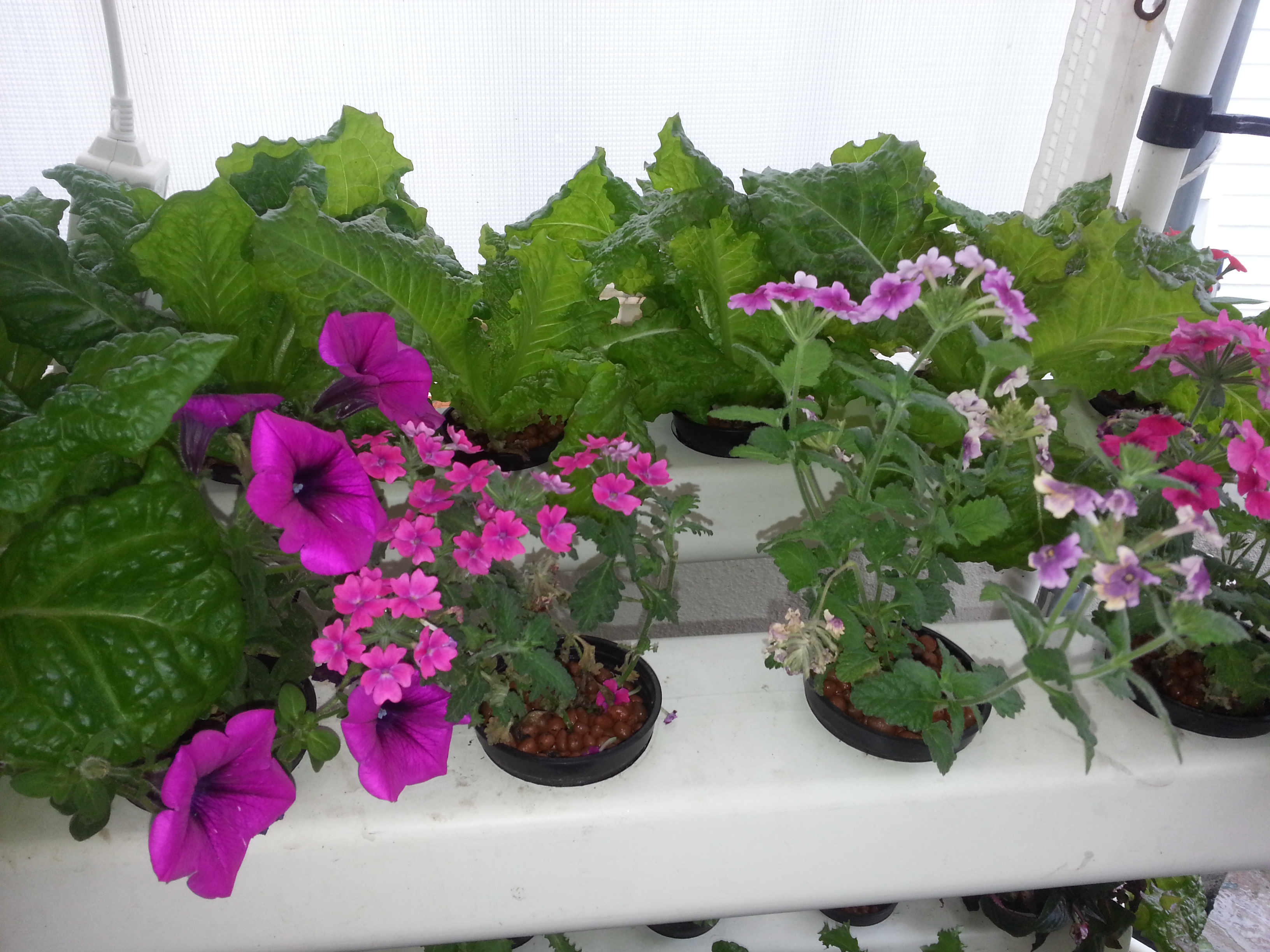 20140525_164651.jpg