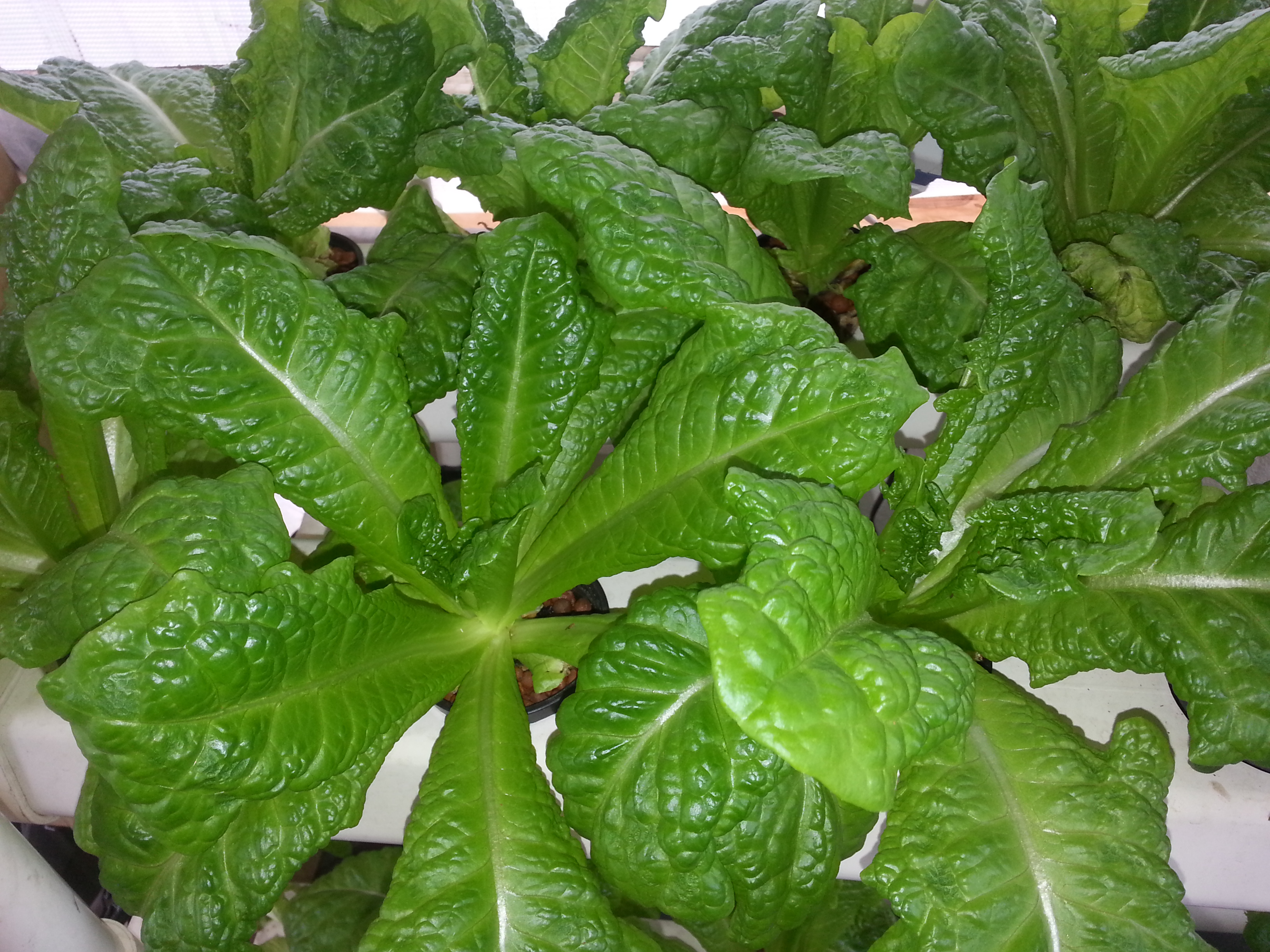 20140525_164715.jpg