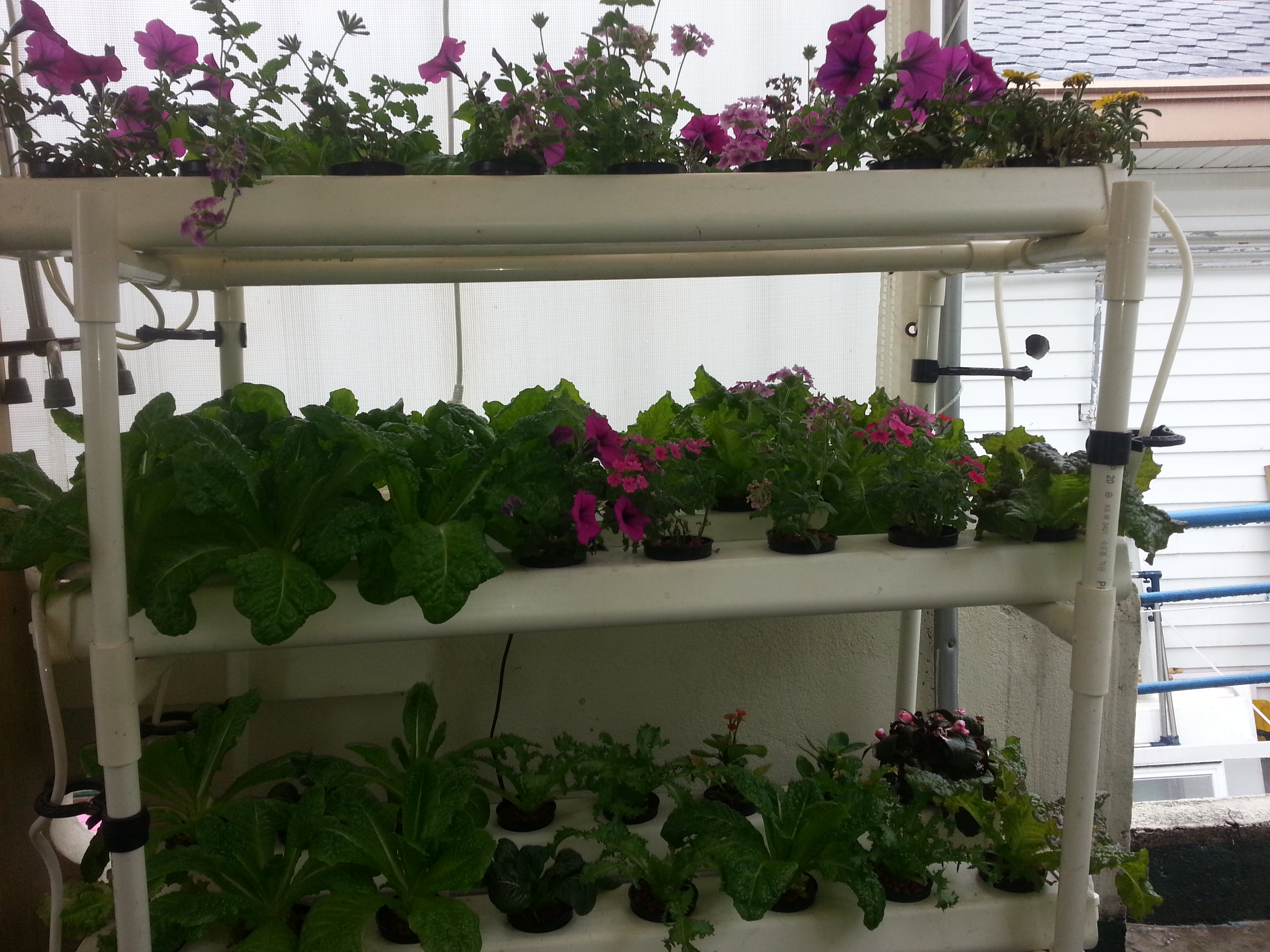 20140525_164617.jpg