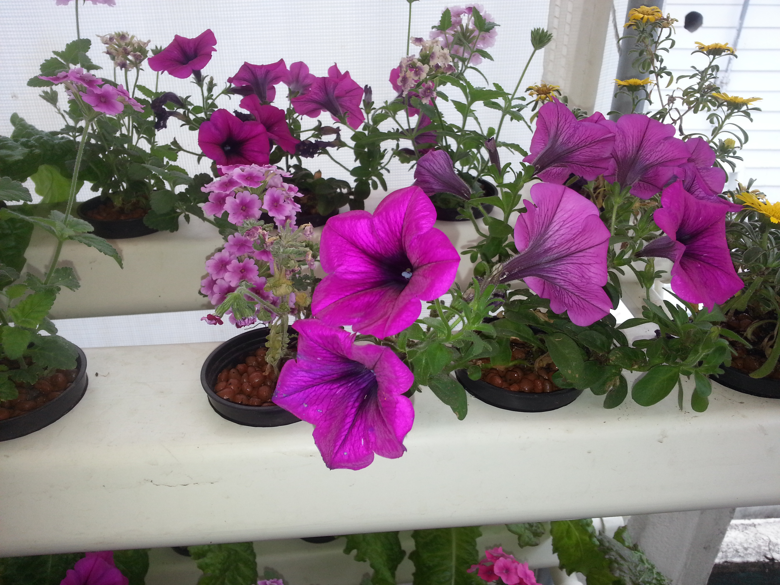 20140525_164704.jpg
