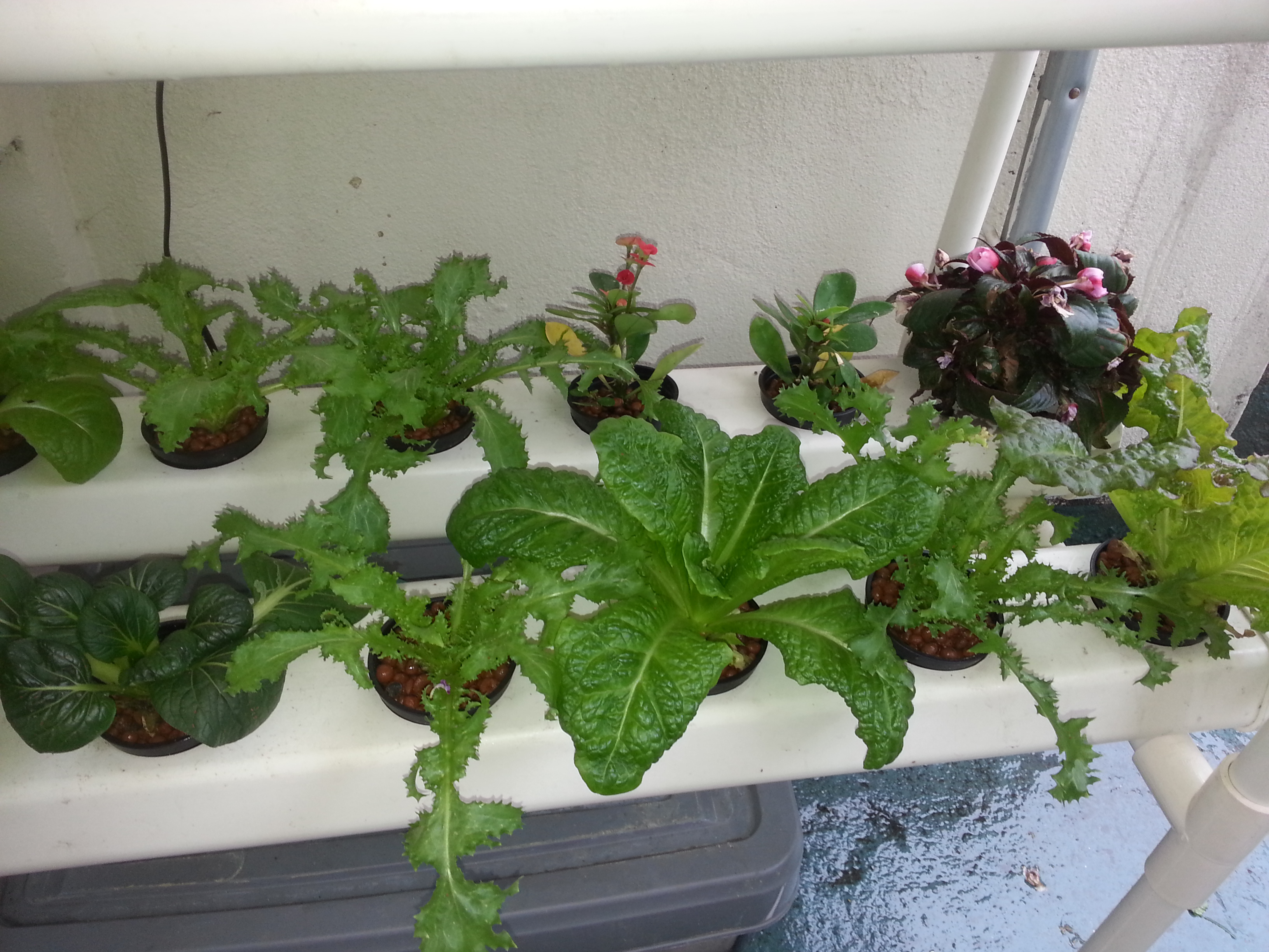 20140525_164648.jpg