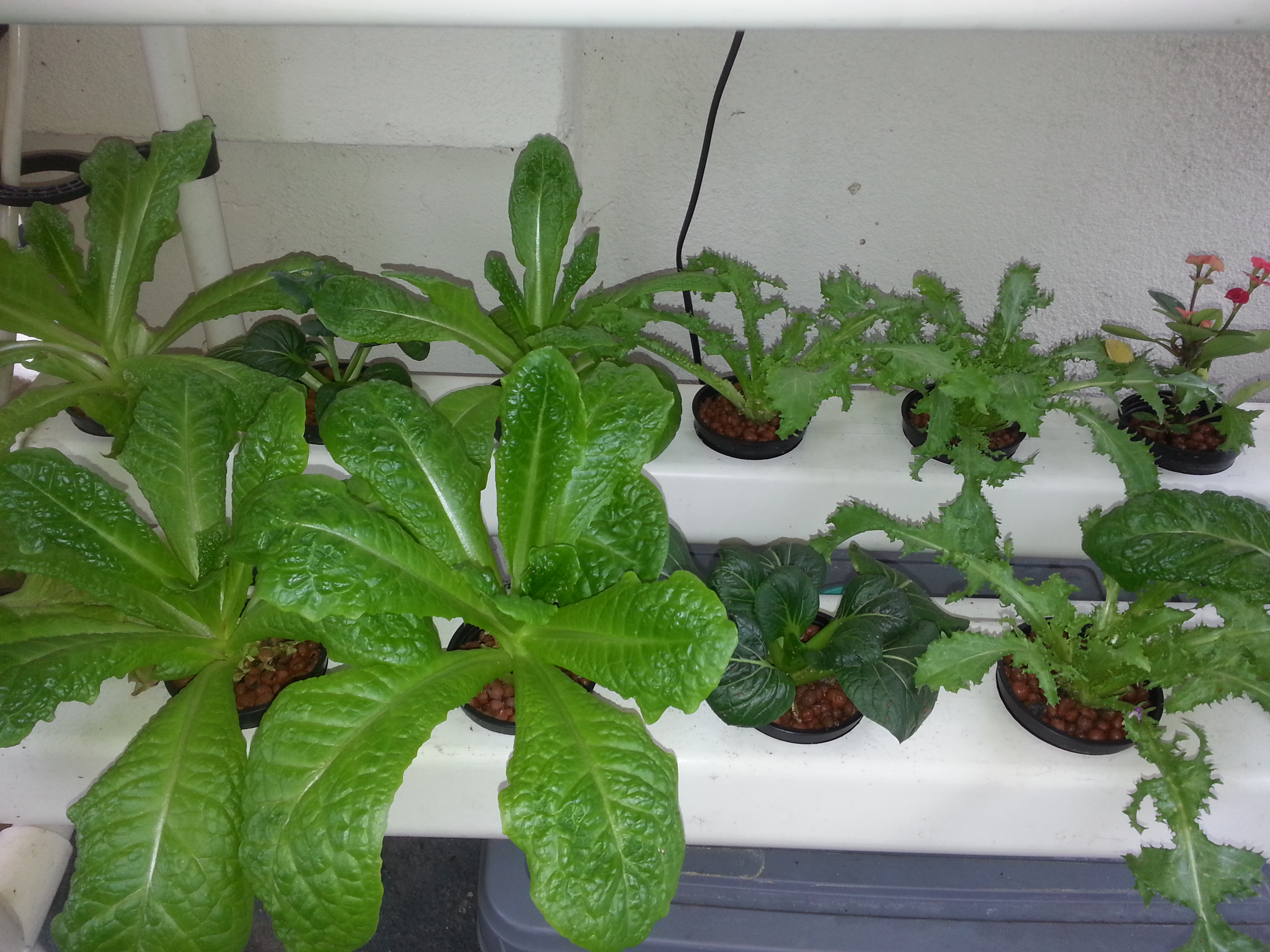 20140525_164645.jpg