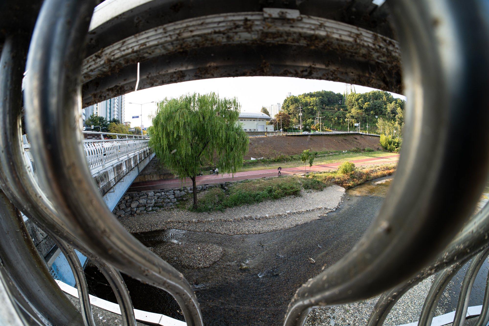 DSC013012026.JPG