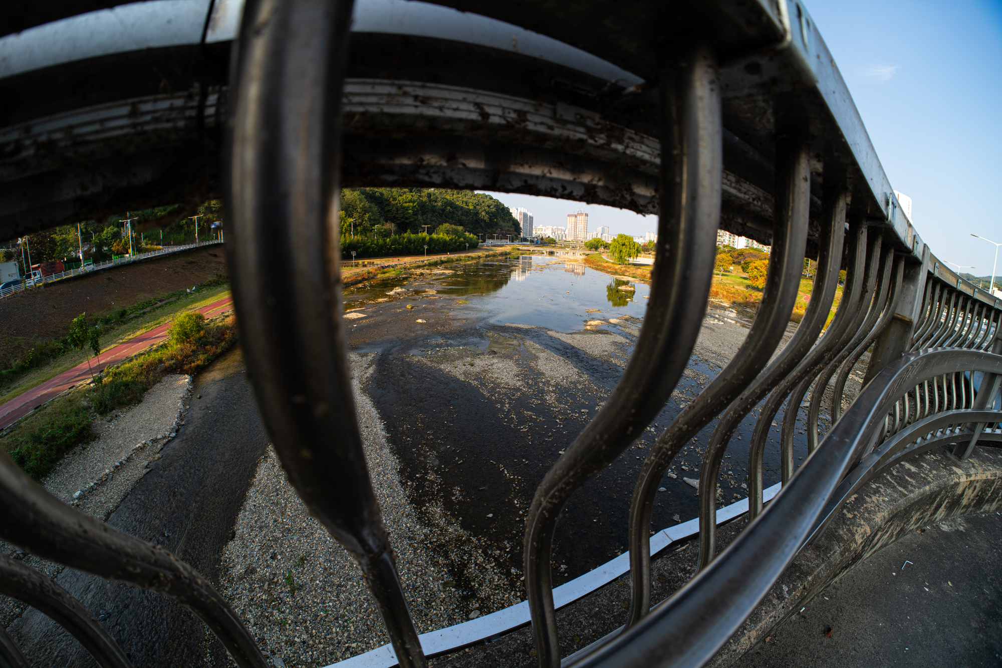 DSC012952026.JPG