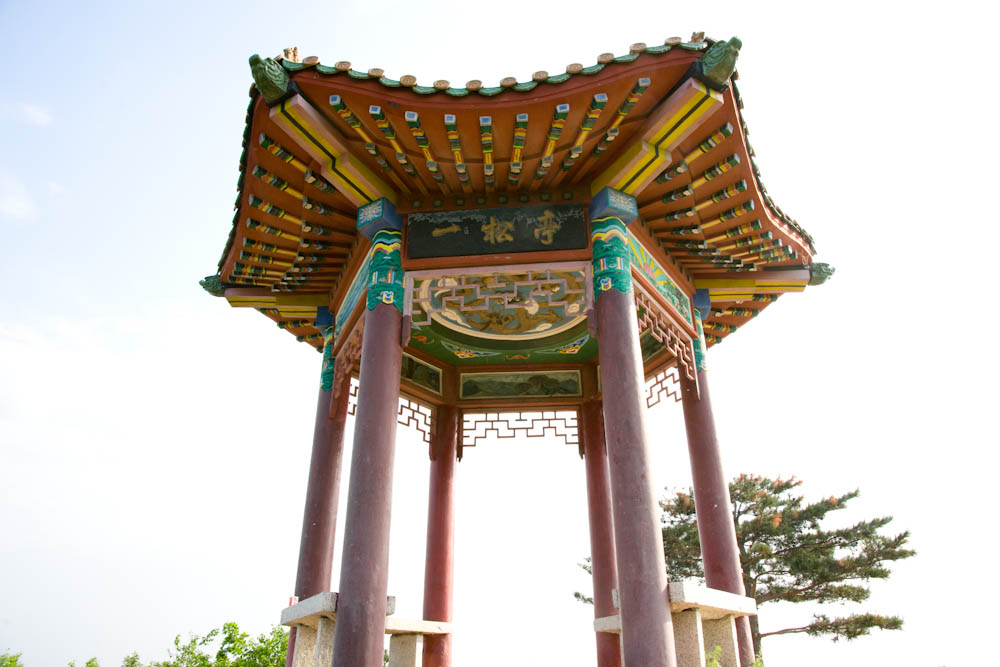 DSC09075.jpg