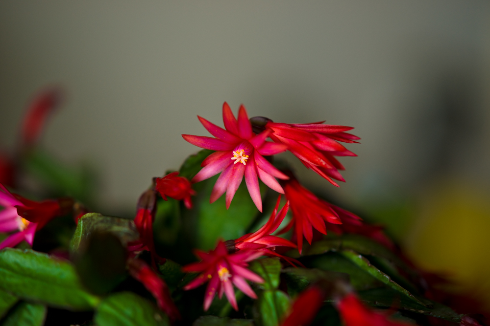 DSC05535.jpg