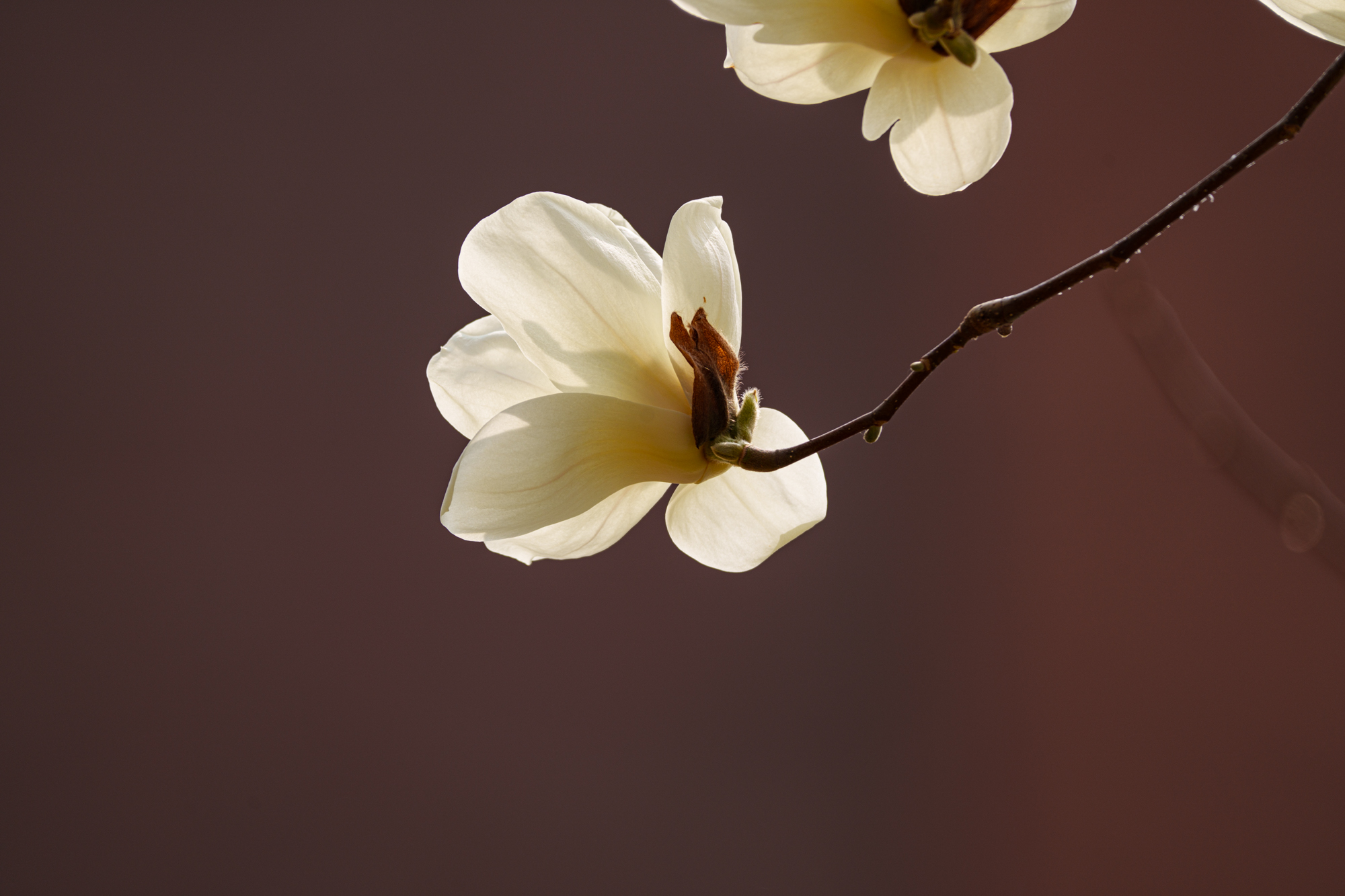 DSC00009.jpg