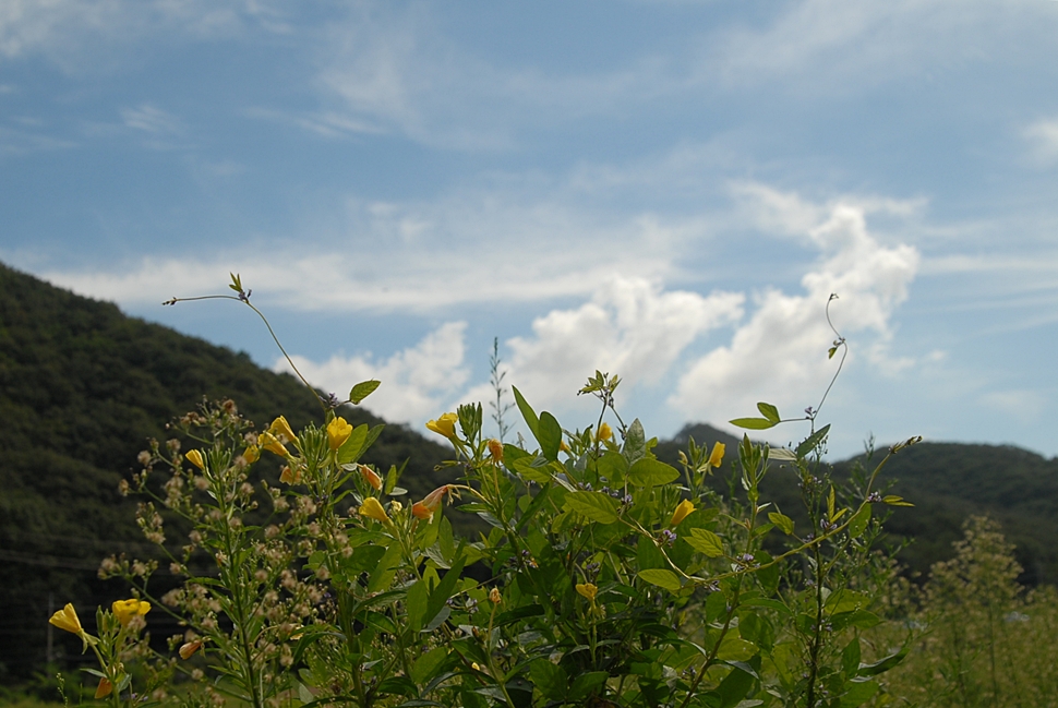 DSC_0060.JPG