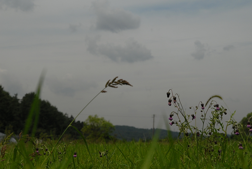 DSC_0099.JPG